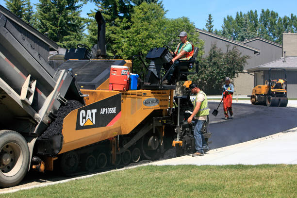 Best Cobblestone Driveway Pavers  in Azalea Park, FL